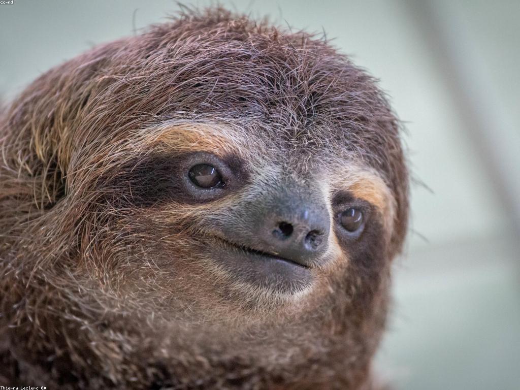 ការស្រាវជ្រាវអំពីកន្លែងលេងស្លុត: បទពិសោធន៍ថ្មីដ៏សែនអស្ចារ្យ