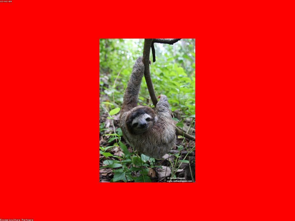 ការស្វែងរកកន្លែងលេងស្លុតលាក់ខ្លួននៅកម្ពុជា