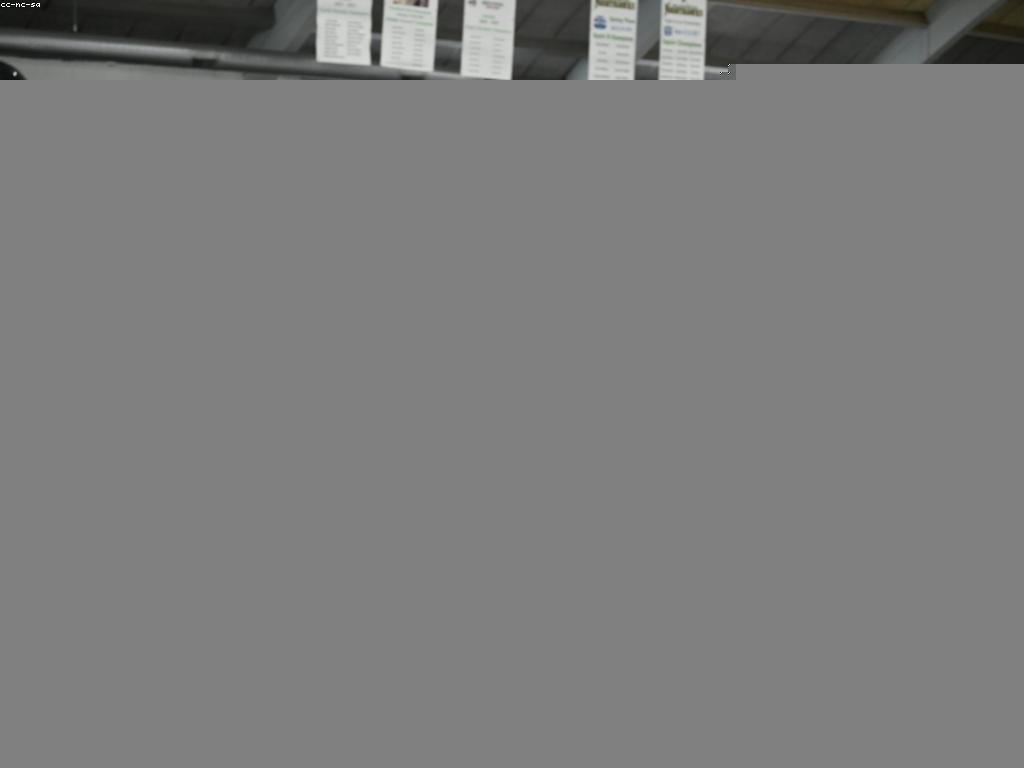 អត្ថប្រយោជន៍នៃការលេងក្នុងសហគមន៍