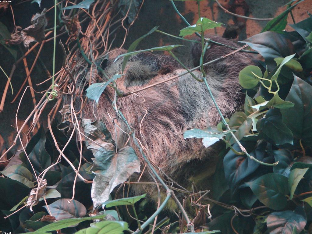 ការស្រាវជ្រាវអំពីកន្លែងលេងស្លុត: បទពិសោធន៍ថ្មីដ៏សែនអស្ចារ្យ