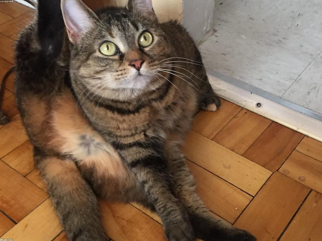 ព័ត៌មានបច្ចុប្បន្ន និងការវិវត្តន៍ថ្មីៗ